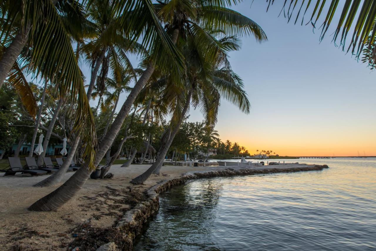 La Jolla Resort Islamorada Exteriér fotografie